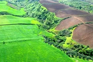 اراضی کشاورزی نکاشت؛ زمینه ساز سودجویی زمین خواران است