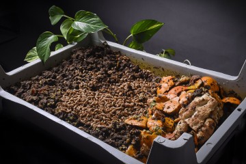 نخستین محله پسماند صفر ایران اینجاست + جزئیات