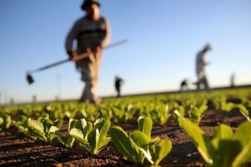 5 شغل کشاورزی با درآمد بسیار بالا