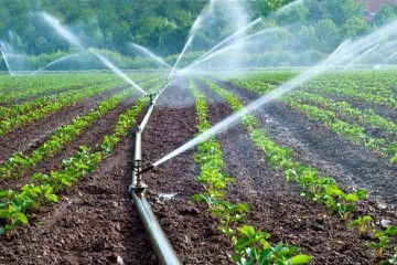 توسعه سامانه‌های نوین آبیاری راهبرد وزارت جهاد کشاورزی است