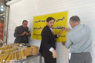 نانوایی متخلف در یاسوج برای چندمین بار پلمپ شد