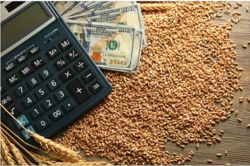 زنگ هشدار برای امنیت غذایی به صدا درآمد / وزارت جهاد کشاورزی چه پاسخی دارد؟