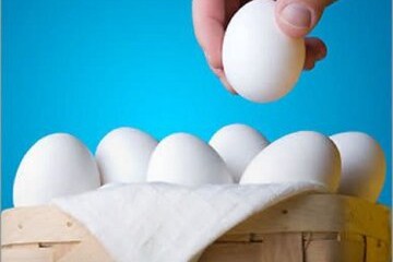 امام صادق(ع): همه تخم مرغ هایت را در یک سبد نچین!