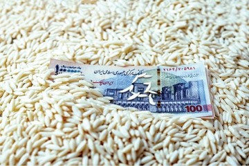 قیمت برنج، ترمز برید/ آقای وزیر؛ چرا برنج ارزان نشد؟/ روش جدید دلالان برای گران‌فروشی!