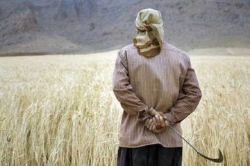 کشاورزی سنتی و معیشتی دیگر پاسخگوی امنیت غذایی پایدار کشور نیست