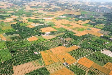 راهکاری قانونی برای تثبیت مالکیت زمین‌های کشاورزی