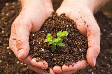 اجرای قانون حفاظت خاک در نشست کارگروه تخصصی ستاد ملی بررسی شد