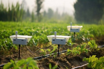 اعطای گرنت بلاعوض تحقیق و توسعه برای حمایت از طرح‌های فناوری