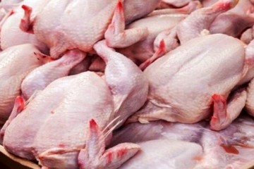 قیمت مصوب جدید، عرضه گوشت مرغ را افزایش می‌دهد