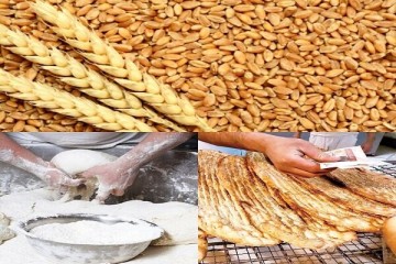 پس از ۴ماه تأخیر، قیمت ۳۲هزار تومان خرید تضمینی گندم مصوب می‌شود؟