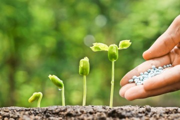 کودهای نانویی چگونه ضامن امنیت غذایی جهان هستند
