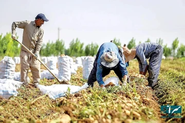 محصولاتی از ایران در ۸۰ کشور جهان