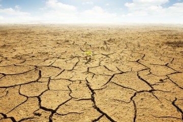 ایران در آستانه خشکسالی فراگیر/دولت چگونه با تغییر اقلیم مقابله می‌کند