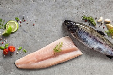 افزایش قیمت ماهی قزل‌آلا در نیمه دوم سال