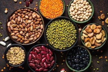 تولید پروتئین‌های گیاهی در ایران ساختار صنعتی ندارد