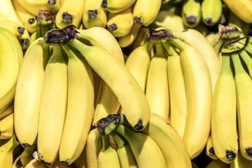 قیمت موز باید بسیار پایین تر باشد/ رانت واردات موز در قبال صادرات سیب!