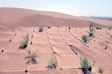 تبدیل بیابان به مزرعه