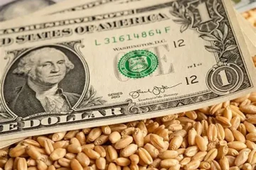 ارز نهاده‌های دامی با تصمیم سران قوا تأمین شد