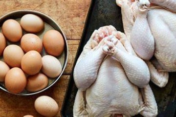 ایران در میان ده کشور برتر تولیدکننده گوشت مرغ و تخم‌مرغ جهان قرار دارد