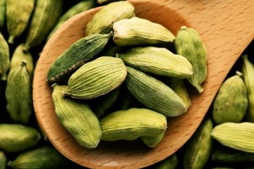 «هل» می‌تواند یک ضدویروس قوی باشد