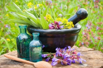 تدوین سند ضد خام‌فروشی گیاهان دارویی