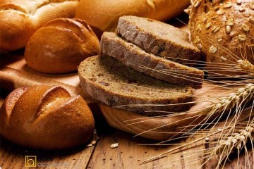 دولت و برزخ «نان»