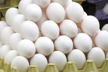 قیمت انواع تخم مرغ پوست سفید اعلام شد