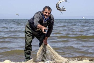 افزایش 20 درصدی صید ماهی در دریای خزر