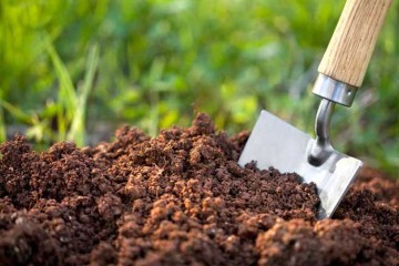 خاک ستون فقرات توسعه پایدار و امنیت غذایی است