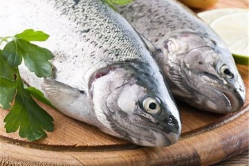 کمیته ملی تخصصی واکسیناسیون آبزیان تشکیل شد