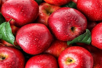 ۲۷ میلیون تن سهم تولید سالانه محصولات باغبانی در کشور