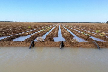 کشاورزی سنتی؛ بلای جان دریاچه ارومیه