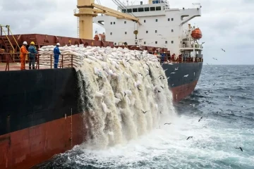 ادعای ریختن محموله های برنج در دریا نادرست است