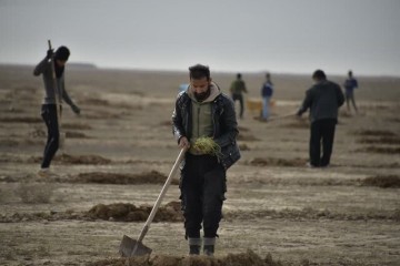 کاشت ۵۸۰ هزار نهال برای احیای ۷۰۰ هکتار از مراتع گلستان