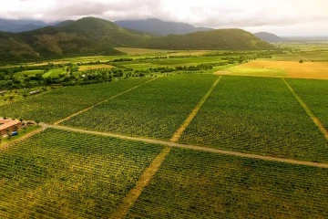 کشاورزی ژاپن در مسیر چندملیتی شدن