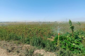 ۴۰ درصد اراضی کشاورزی ایران مجهز به آبیاری نوین است