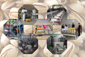 ۱۸۰ طرح صنایع تبدیلی و غذایی در دهه فجر به بهره‌برداری می‌رسد