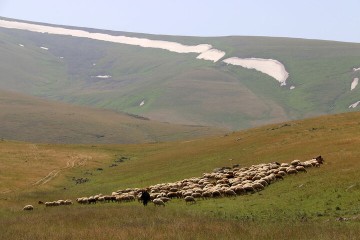 احیای یک هکتار مرتع و اضافه شدن ۲۵۰ مترمکعب به ظرفیت نفوذ آب در کشور