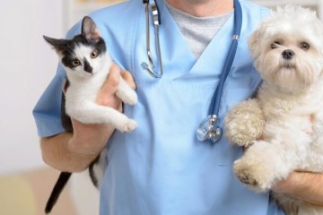 ۲۷ پروژه در حوزه دامپزشکی افتتاح می‌شود