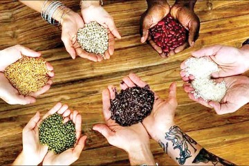 امنیت غذایی در گرو حمایت از تولیدکننده داخلی است