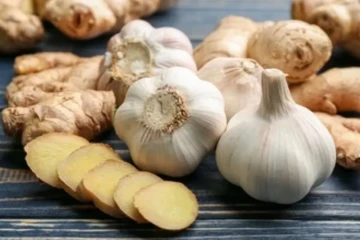 سیر یا زنجبیل؟ کدام یک پادشاه تقویت سیستم ایمنی است؟