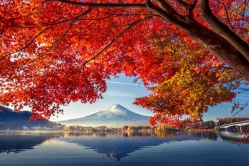 مردم ژاپن نگرانند که این کشور در حال گذار از سیستم «چهار فصل» به سیستم «دو فصل» است.