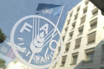 توسعه کشاورزی هوشمند نیازمند استراتژی های ملی منسجم است