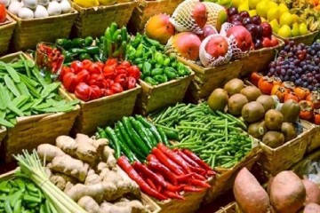 تحقق تولید ۱۶۰ میلیون تنی محصولات کشاورزی با مدیریت مصرف آب