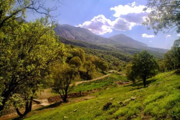سند مدیریت پایدار جنگل‌های زاگرس نهایی شد