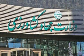 گزارشی از تأخیر صد روزه وزارت جهاد کشاورزی در انتقال عرضه سبوس به بازارگاه؛ ابهام در شفافیت، تهدید تولید و مخاطره برای امنیت غذایی