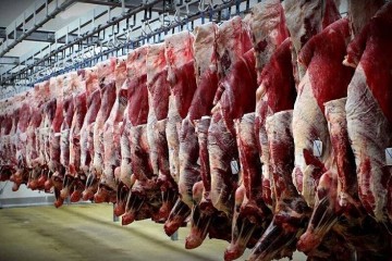 با توافق صورت‌گرفته با سازمان دامپزشکی کشور، مقرر شد واردات گوشت به‌صورت «قبض انباری» انجام شود