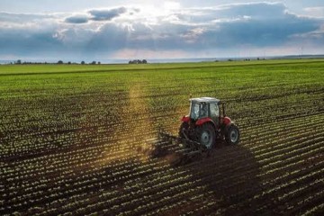 ۶۵ مزرعه الگویی برای ۶ محصول کشاورزی راه اندازی شده است