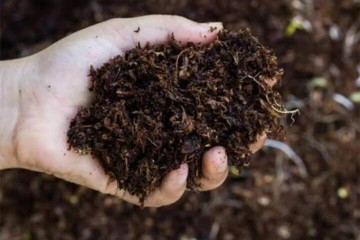 کود ارگانیک چیست و چه کاربردی دارد؟ انواع، مزایا و طرز تهیه کود ارگانیک