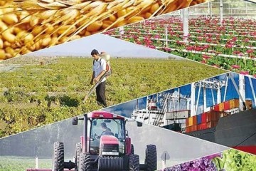 ضرورت حمایت از زنجیره‌های ارزش و گذار به تولید صادرات‌محور در مازندران